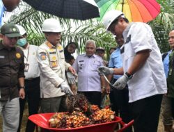 Hasil Meningkat, Panen Lebih Cepat