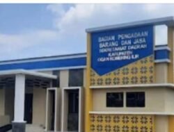 BPK Ungkap Praktik ‘Mafia Pengadaan’ di OKI, Satu Orang Kendalikan Akun dan Rugikan Negara Ratusan Juta Rupiah