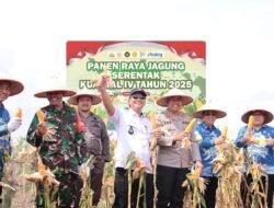 Sinergi Polres OKI dan Pemda Warnai Panen Raya Jagung Serentak